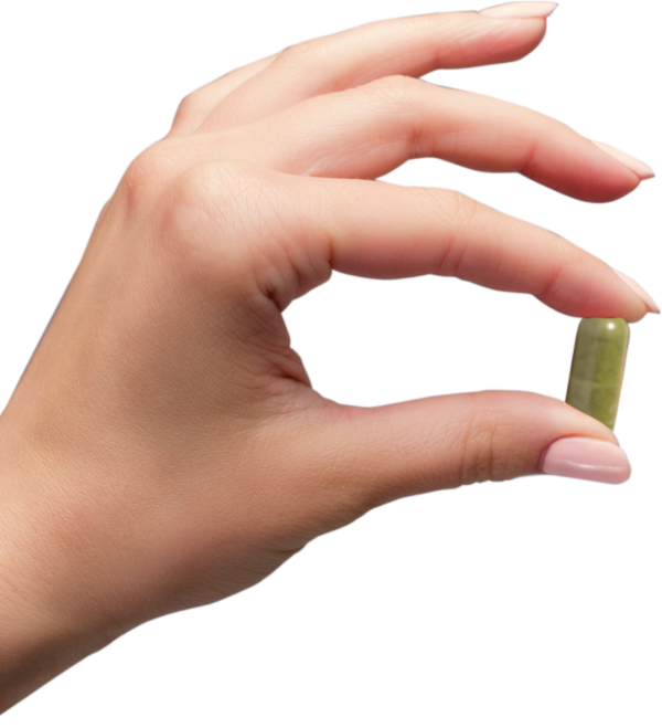 levá ruka s tabletou moringy